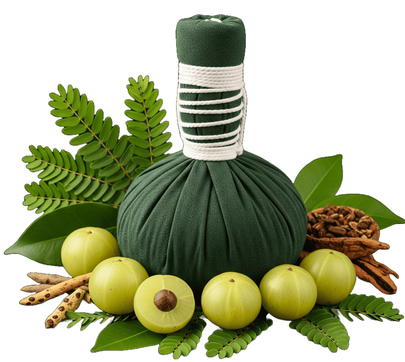 Ayurveda healing herbs